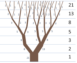 Branching plant growth